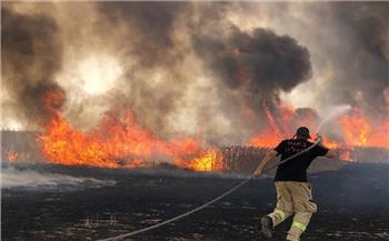 إخلاء عشرات المنازل في إسرائيل بسبب الحرائق المشتعلة بالقرب من الحدود اللبنانية
