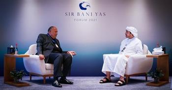 ‏وزير الخارجية ونظيره الإماراتي يبحثان أبرز القضايا العربية