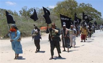 محلل أمني: «داعش الإرهابي» يهدد الانتخابات الصومالية 