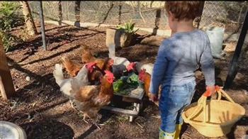 ميجان ماركل تظهر بشكل مختلف وتنشر صورة طريفة  لابنها مع الدجاج (فيديو)