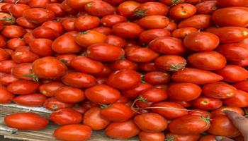 استقرار أسعار الخضار والفاكهة في سوق الدندراوي بحدائق المعادي اليوم