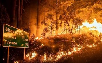 حرائق في كاليفورنيا دمرت آلاف الأشجار النادرة والعملاقة