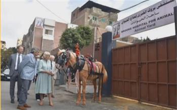 كواليس زيارة الأميرة كاميليا مستشفى الخيول بحي السيدة زينب (فيديو)