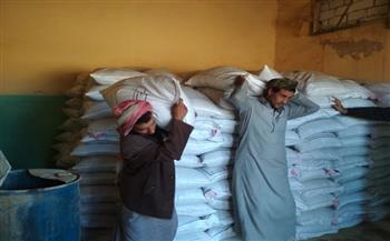 «الزراعة»: توزيع الشعير بالمجان وتنظيم قوافل بيطرية بمطروح