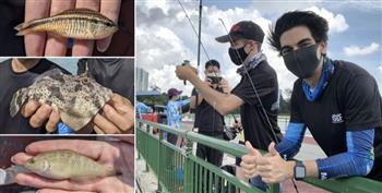 علمنى كيف أصطاد.. شباب سنغافوري يعلمون العائلات والمبتدئين كيفية صيد الأسماك 