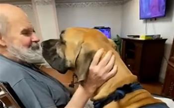 كلب حنون يستخدم فى العلاج النفسي للمرضى المسنين.. فيديو