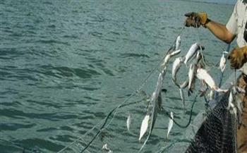 أربع دول أفريقية تبرم اتفاقا مع منظمات دولية لتعزيز مكافحة الصيد غير القانوني