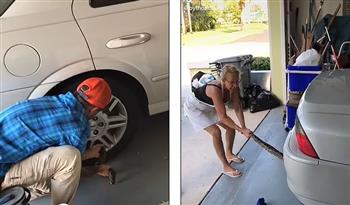 سيدة تخرج ثعبان من إطار سيارة ابنها فى شجاعة بالغة.. فيديو 