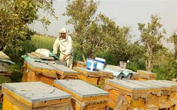 وزير الزراعة يبرز 5 مزايا لصناعة عسل النحل