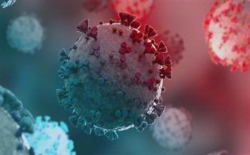 الهند تسجل 8 آلاف و309 إصابات جديدة بفيروس كورونا 