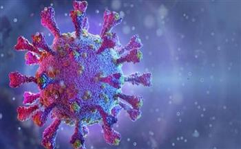 ألمانيا تسجل ما يقرب من 30 ألف إصابة بفيروس كورونا خلال 24 ساعة