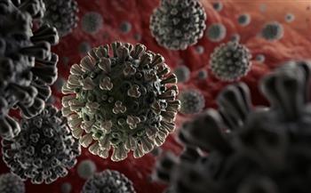 الامارات تسجل 58 إصابة جديدة بفيروس كورونا 