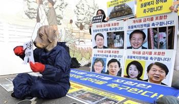 استطلاع رأي يظهر معارضة الكوريين الجنوبيين قانون حظر تناول الكلاب