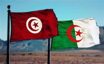 الجزائر وتونس تبحثان زيادة حجم صادرات الغاز والربط بالكهرباء