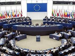 المجلس الأوروبى يدعو الأطراف الإثيوبية إلى وقف فورى لإطلاق النار