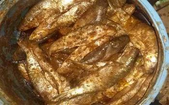 ضبط 13 طن أسماك مملحة فاسدة وملح سياحات بالسويس