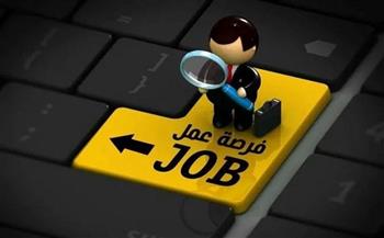 برواتب تصل إلى 7 آلاف جنيه.. تفاصيل وظائف «القوى العاملة» في 15 محافظة
