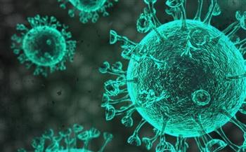السعودية تسجل 34 إصابة جديدة بفيروس كورونا 