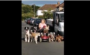 حراسة مشددة.. مسنة بريطانية تقود دراجة كهربائية رفقة 13 كلبًا (فيديو)