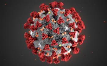 ألمانيا تسجل 21 ألفا و743 إصابة جديدة بفيروس كورونا المستجد 