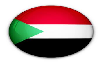 عضو بمجلس السيادة السوداني: الأوضاع في دارفور غير مستقرة 