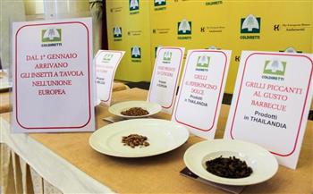 بيلاروسيا تفرض حصارًا على المنتجات الغذائية الإيطالية العام المقبل