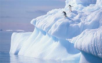 الأمم المتحدة توثق درجة الحرارة البالغة 38 درجة مئوية المسجلة في القطب الشمالي