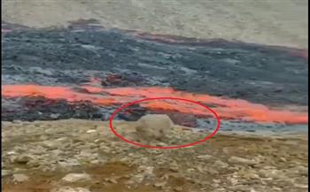 مشهد لا يصدّق.. هذا ما يحدث عندما تدخل صخرة قوية في الحمم البركانية (فيديو)