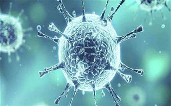 الهند تسجل 6984 إصابة جديدة بفيروس كورونا المستجد 