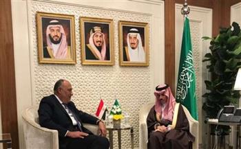 شكري ونظيره السعودي يؤكدان عمق العلاقات والتنسيق المشترك بين البلدين