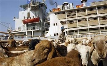 السودان: انسياب حركة صادر الماشية الى دول الخليج وخاصة السعودية