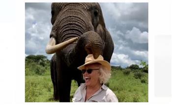 خدعة طريفة.. فيل يداعب زائرة بحديقة الحيوان (فيديو) 