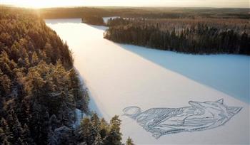 صورة ثعلب منحوت وسط الجليد تبهر متابعي السوشيال ميديا