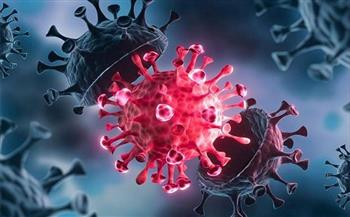 الامارات تسجل 266 إصابة جديدة بفيروس كورونا