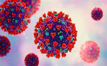 فرنسا: 85 حالة وفاة جديدة بفيروس كورونا 