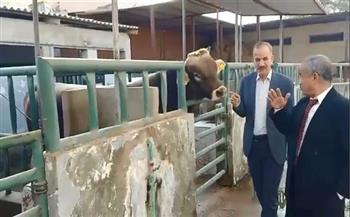 محافظ أسيوط: استمرار العمل في مشروع التحسين الوراثي لسلالات الماشية