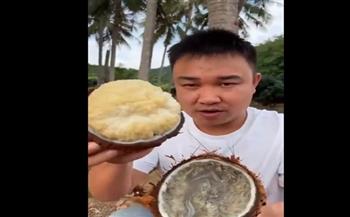 خليط من قرع العسل وجوز الهند.. ثمار غريبة تظهر في الصين (فيديو)
