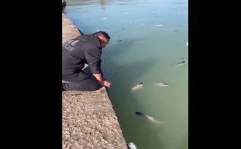 بعد تسرب النبيذ للماء.. أسماك سكرانة في بحيرة صينية (فيديو)