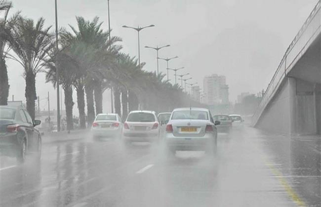 تحذيرات لمرضى الحساسية بعدم الخروج من المنزل (فيديو)