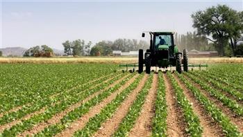 التنمية الزراعية في الصعيد.. تعزيز الزراعة المستدامة والقضاء على الفقر