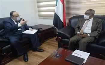 السفير المصري بالخرطوم يبحث تعزيز وتيرة العمل بمشروعات الربط الكهربائي والقطارات