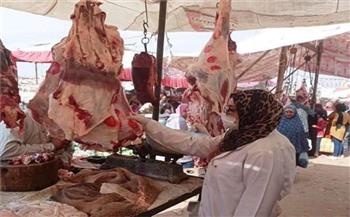 «بيطري الشرقية» يحرر 11 محضر مخالفة لضبط سوق اللحوم والدواجن والأسماك