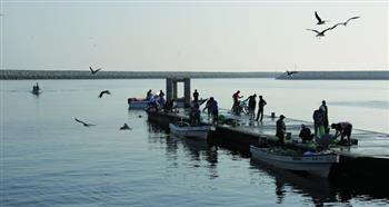 سلطنة عُمان تواصل تطوير القطاع السمكي لدعم تحقيق أهداف رؤية "عُمان 2040"