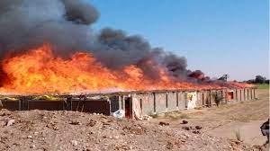 نفوق 10 آلاف دجاجة إثر حريق بمزرعة بمركز أولاد صقر في الشرقية 