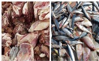 ضبط 6.5 طن أسماك ولحوم منتهية الصلاحية قبل ترويجها ببورسعيد