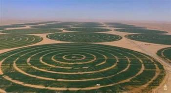بحوث الصحراء: مشروع توشكى قابل للتوسع خلال الأعوام المقبلة