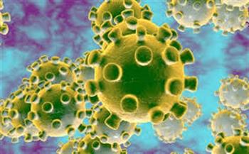 باكستان تسجل 482 إصابة جديدة بفيروس كورونا المستجد 