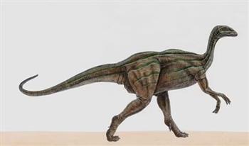 «أكثر من 200 مليون سنة».. الكشف عن أقدام ديناصورات على أحد شواطئ بريطانيا