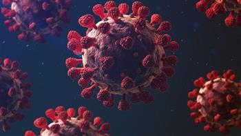 الدنمارك تسجل أكثر من 17 ألف إصابة بفيروس كورونا المستجد