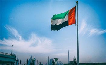 الإمارات ونيجيريا تبحثان تطوير العلاقات الثنائية